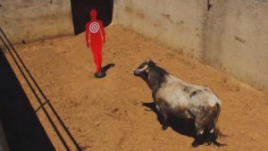 Bulls Angry