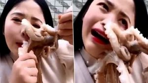 Octopus Attacks Woman