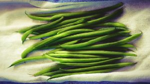Bush Beans