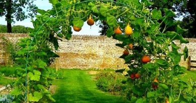 Build A Squash Arch