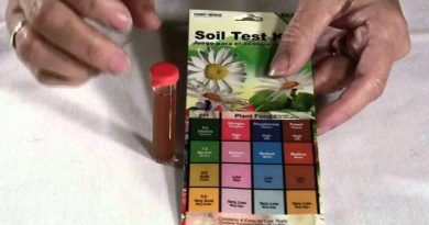 Soil