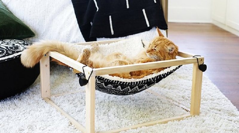 Kitty Hammock