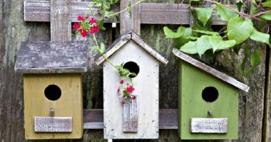 birdhouses