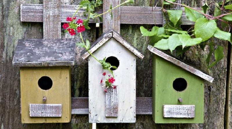 birdhouses