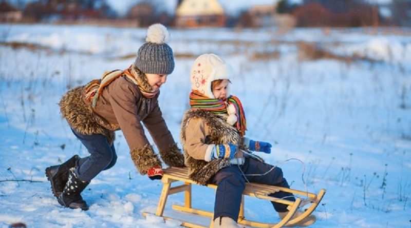 build sled