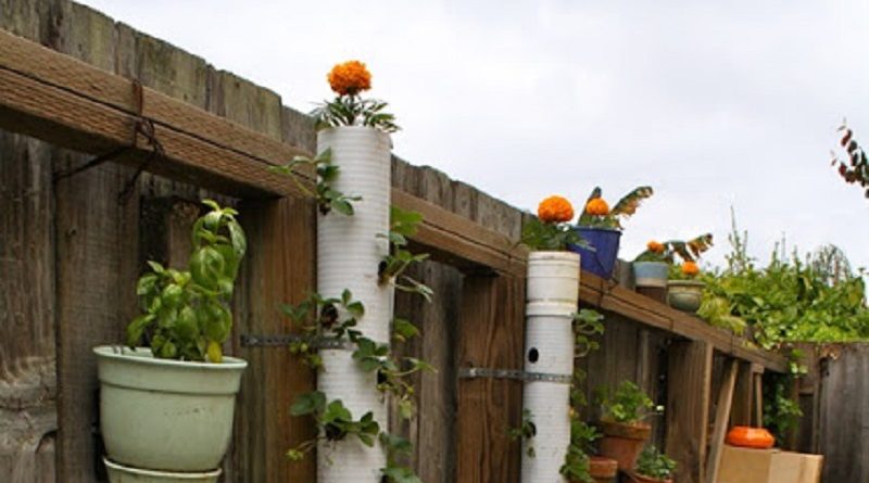 Gardening With PVC Pipes