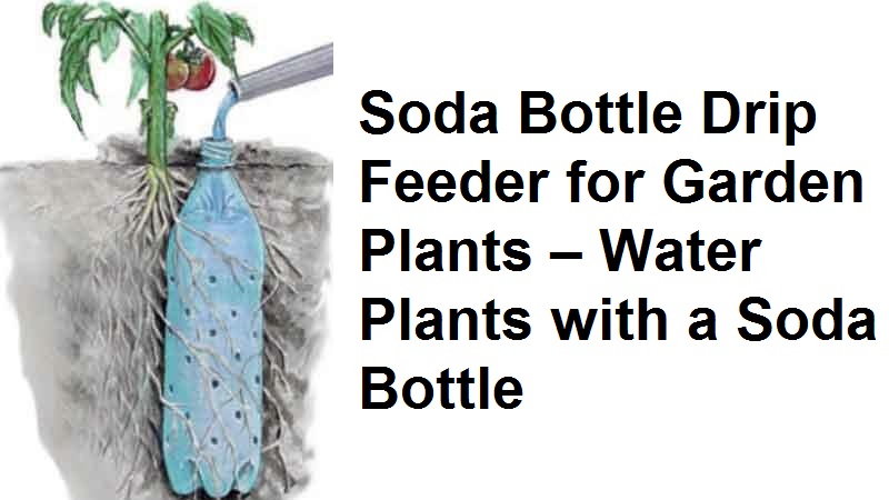 Soda Bottle Drip Feeder For Garden Plants Water Plants