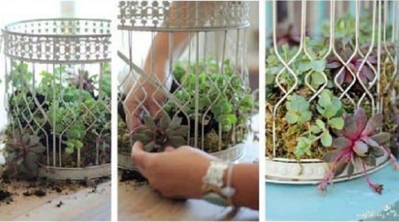 Birdcage Succulent Garden Planter