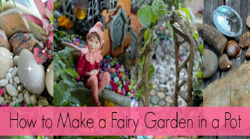 Make a Fairy Garden