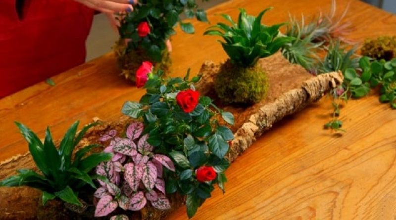 Make a Living Centerpiece That Turns Party Gifts