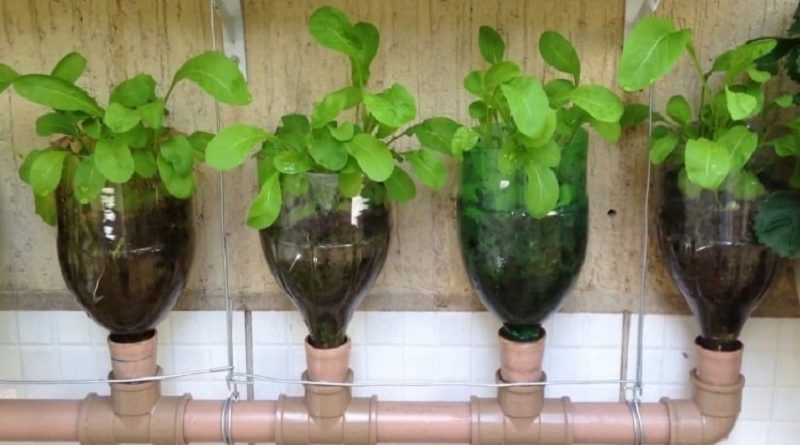 Incredible Self Watering System