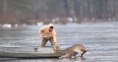 Hunter Becomes Hero For 8-Point Buck Stranded On Ice For 3 Hours, 2 Days Before Hunting Season (VIDEO)