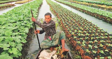 Grow Food on Flooded