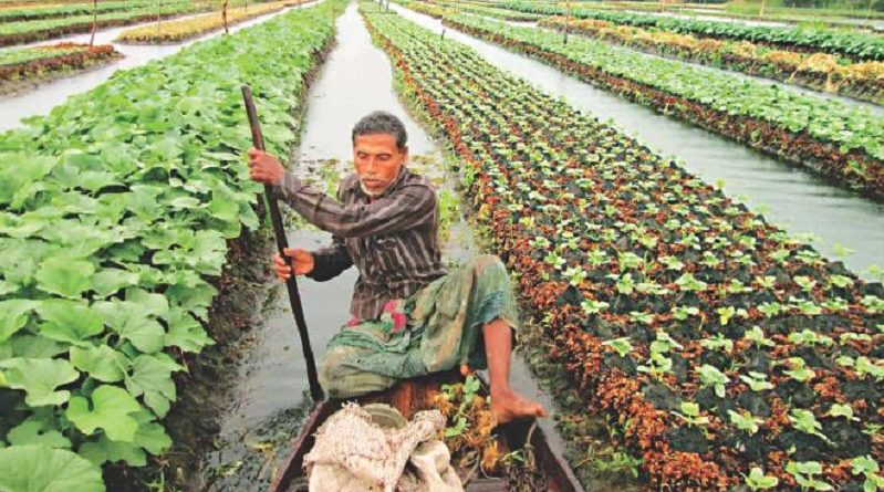 Grow Food on Flooded