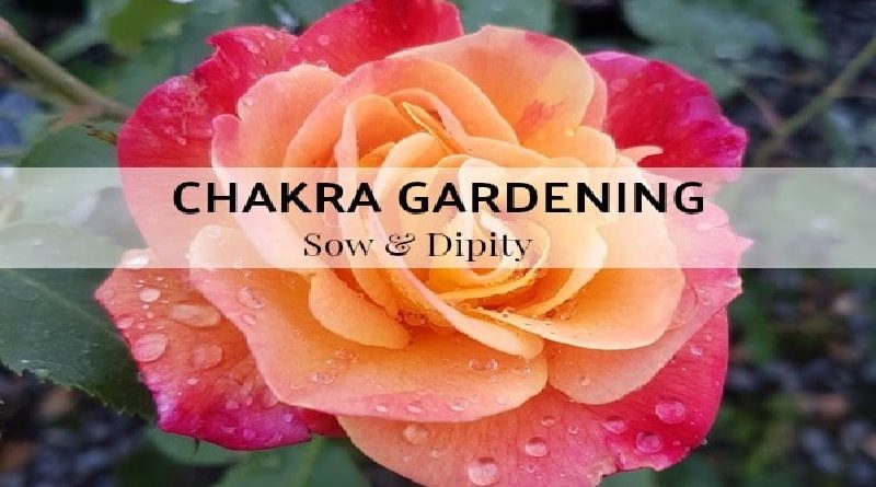 What Is Chakra Gardening