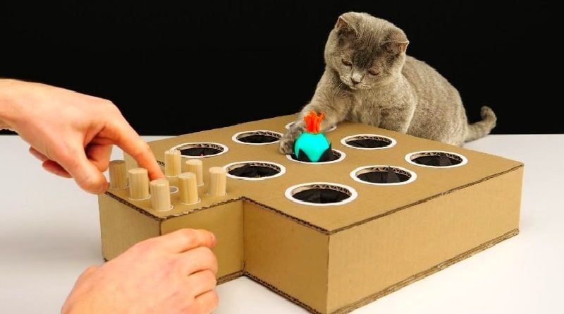 DIY Cat Toy