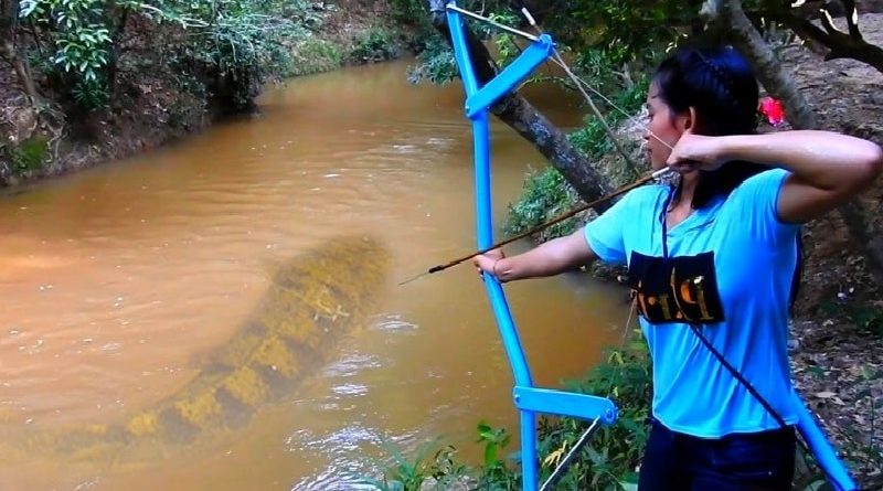 PVC Pipe Compound To Shoot Fish