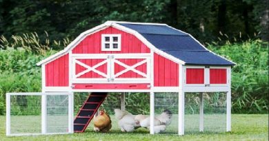 Chicken Barn