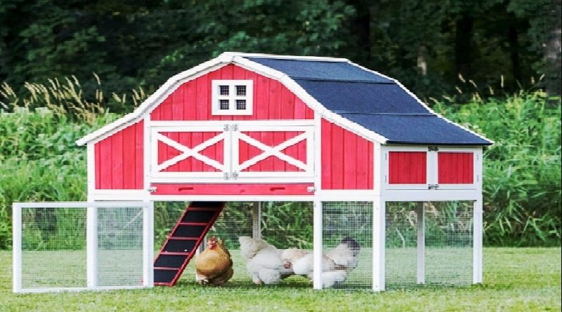 Chicken Barn