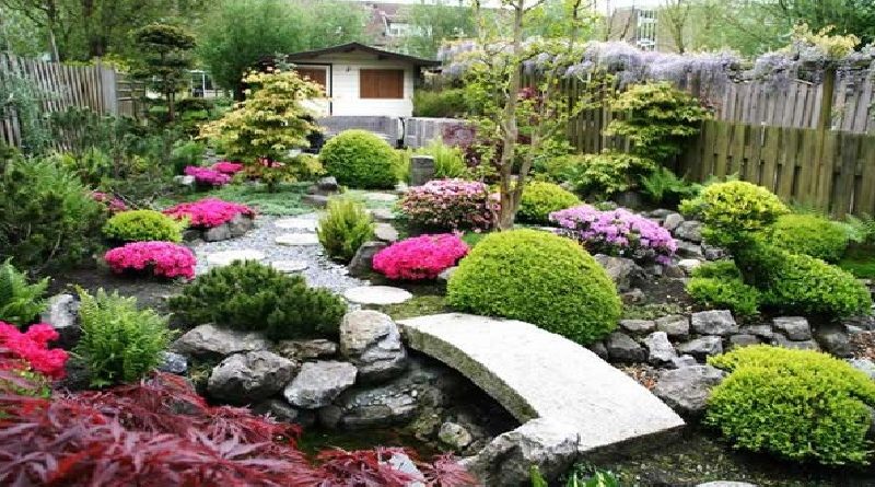 Creating A Japanese Garden