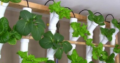 basement pvc vertical garden