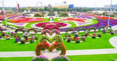 dubai miracle garden