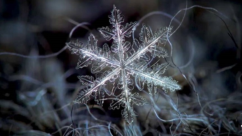 This Is How Snowflakes Are Born (VIDEO)