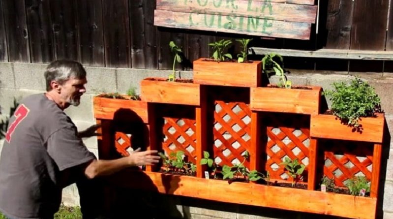 Easy DIY Herb Garden