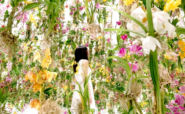 A Floating Flower Garden Filled With Living Flowers That Float Up And ...