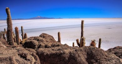 Isla Incahuasi An Island