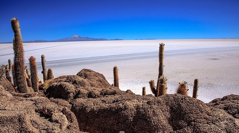 Isla Incahuasi An Island