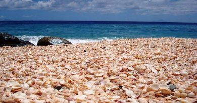 Shell Beach Australia