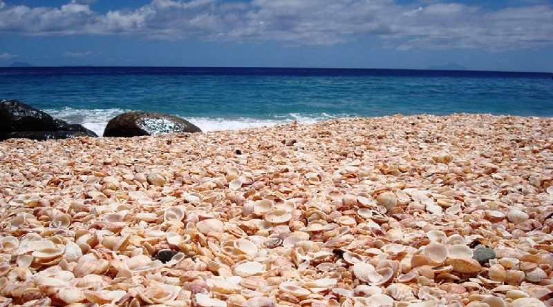 Shell Beach Australia