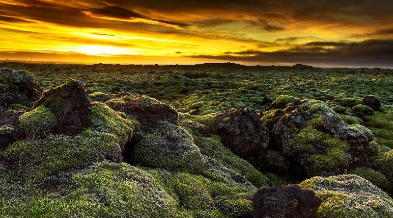 lava fields iceland