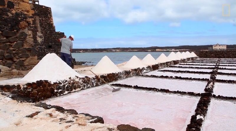 Harvested salt