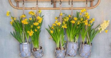 hanging pots