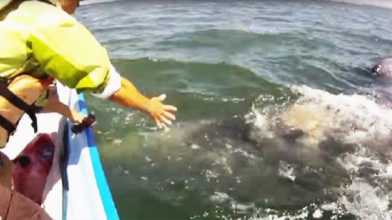 She Holds Out Her Hand, But When This Comes Out Of The Water?