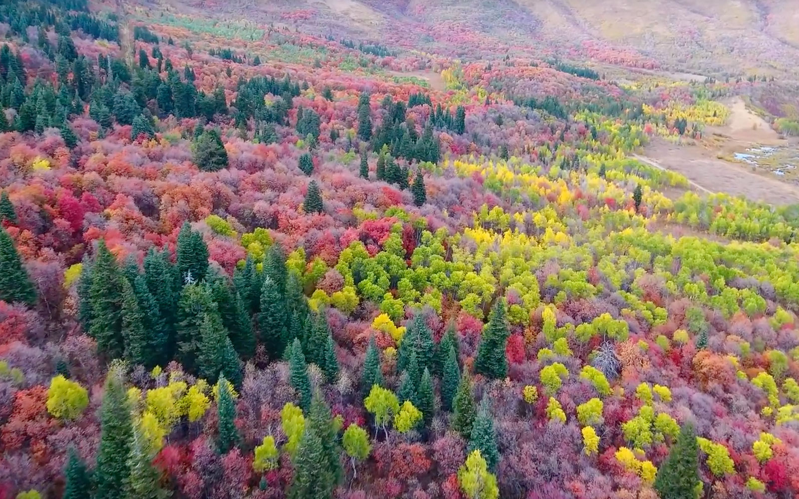 Breathtaking Drone Footage Captures the Vibrant Colors of Utah in Fall