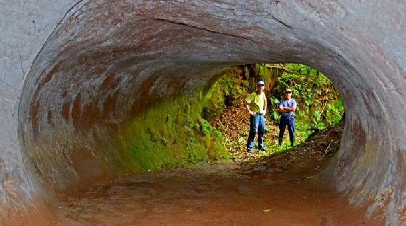 massive tunnel