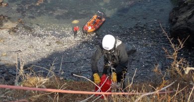 Sheep Rescued