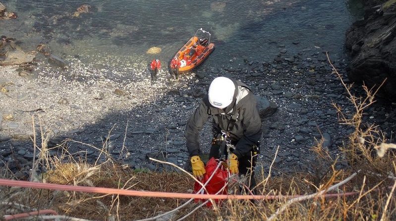 Sheep Rescued