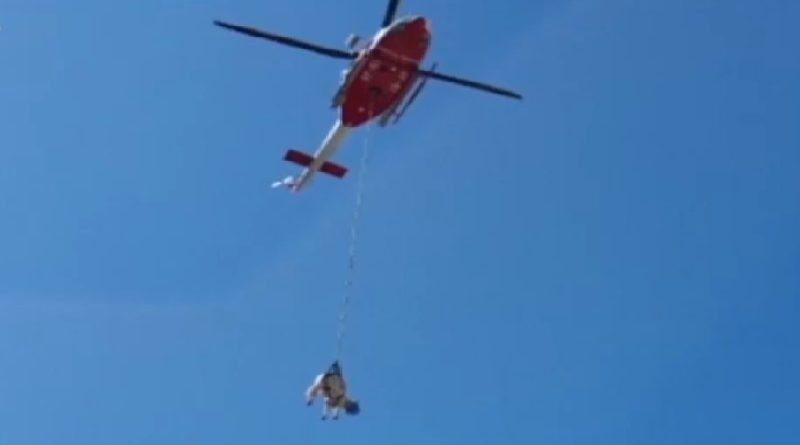 Helicopter rescues cow