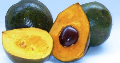 Lucuma Food