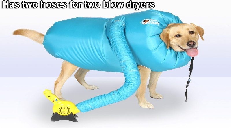 Dryer For Dogs