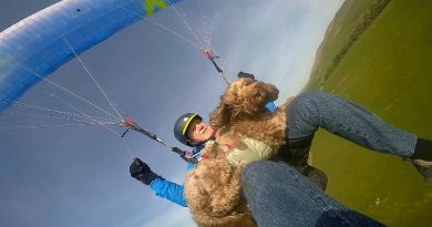 This Paragliding Dog Takes To The Skies With His Owners (VIDEO)