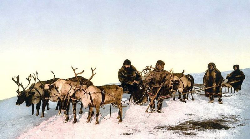 Reindeer Herding